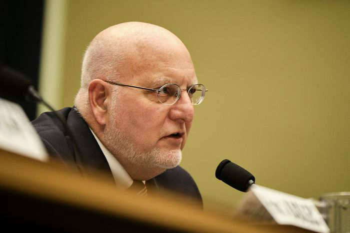 They Were Desperate for a Coronavirus Test. They Couldn't Get One.