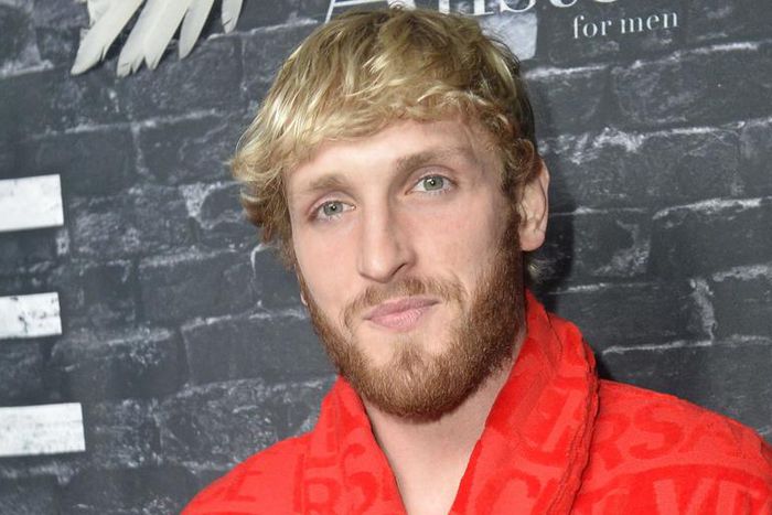 Logan Paul Got KO'd by UFC Fighter Paulo Costa