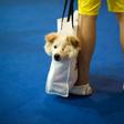 A man carries his dog in a shopping bag at a pet fair in Shanghai. China is home to a growing population of pet owners, with pet-related spending in China reaching nearly $24 billion in 2018