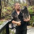 Wet and woolly: Koalas at one Australian zoo were at risk from wildfires last week, but got drenched in torrential rain on Friday