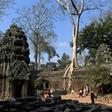 The tourists were part of a group that arrived in Siem Reap, home to the famed Angkor Wat temple complex