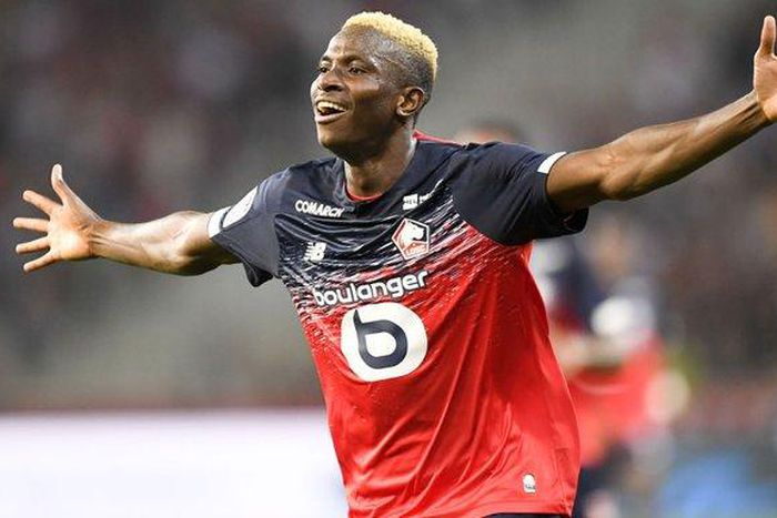 Victor Osimhen (Lille/Twitter)