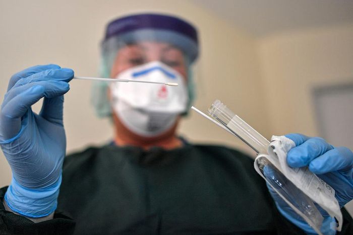 Coronavirus lab testing Germany