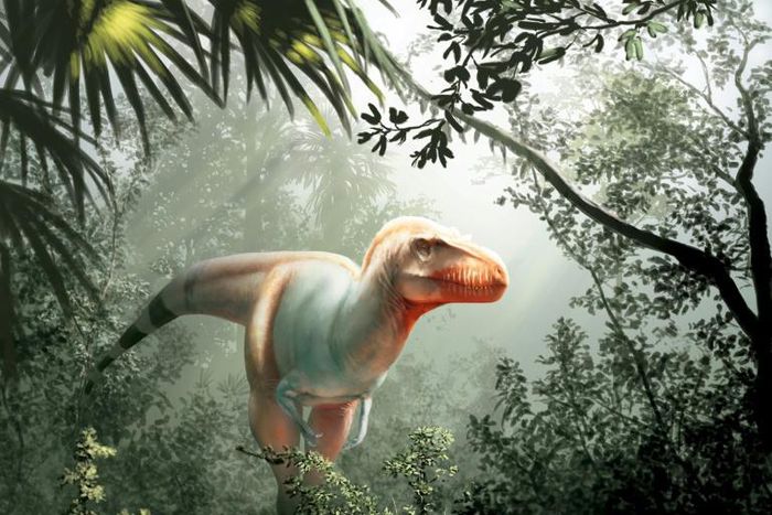 Researchers said Thanatotheristes degrootorum was around eight metres long and hunted around 80 million years ago