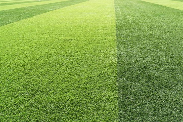 Watch Dr. Pimple Popper Extract Tons Of Blackheads