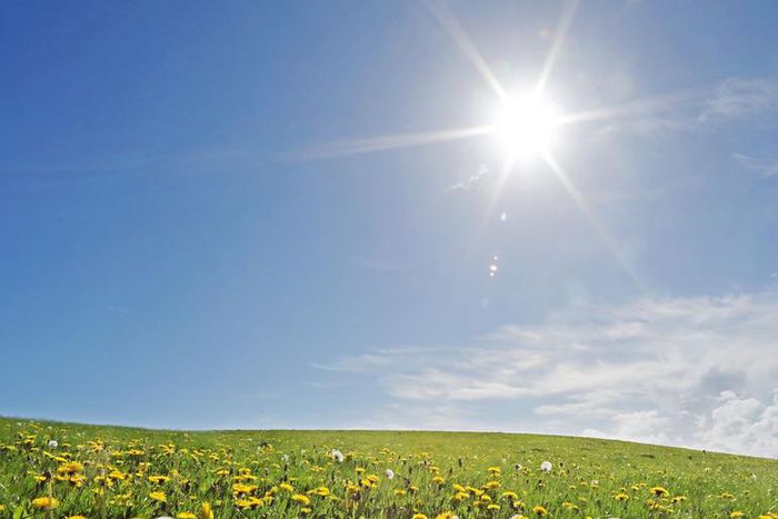 Watch Dr. Pimple Popper Squeeze Back Cysts