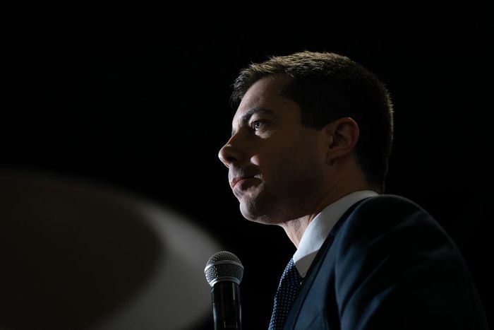 Once Selling Big-Ticket Ideas, Democrats Now Focus on an Electable Ticket