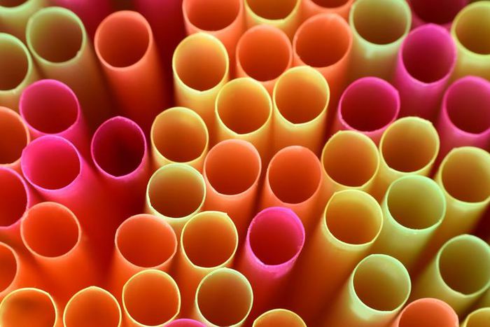 Watch Dr. Pimple Popper Pop Back Blackheads