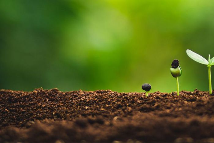 Watch Dr. P Tackle Tons Of Blackheads