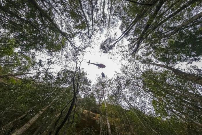 A firefighter rappels into a gorge as a crew tries to save pre-historic Wollemi Pines in the Blue Mountains