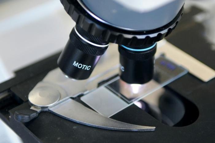 In recent years doctors have turned to a new treatment for cancer, immunotherapy, which works by leveraging the body's own immune system to fight tumours