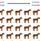 Try and Solve the '25 Horses' Viral Math Challenge