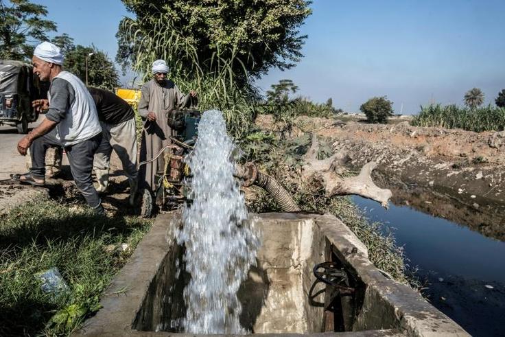 Egyptian farmers supply their farmland with water from a canal, fed by the Nile river, in a village outside of the capital Cairo