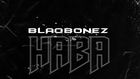 Blaqbonez is a captive of vanity in a hall of trumpets in 'Haba' video. (Chocolate City)