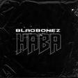 Blaqbonez is a captive of vanity in a hall of trumpets in 'Haba' video. (Chocolate City)