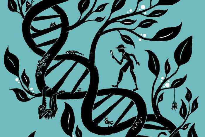 This Tiny Creature Seemed Extinct. DNA Technology Helped Prove It Wasn't.