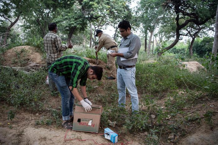 Meet the Bird Medics of New Delhi