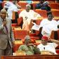 Deputy Senate President Ovie Omo-Agege