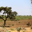 According to the UN, the conflict in Darfur has resulted in about 300,000 deaths and more than 2.5 million displaced people since 2003
