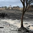 Australia is reeling from bushfires that since September have claimed 28 lives, including two on Kangaroo Island
