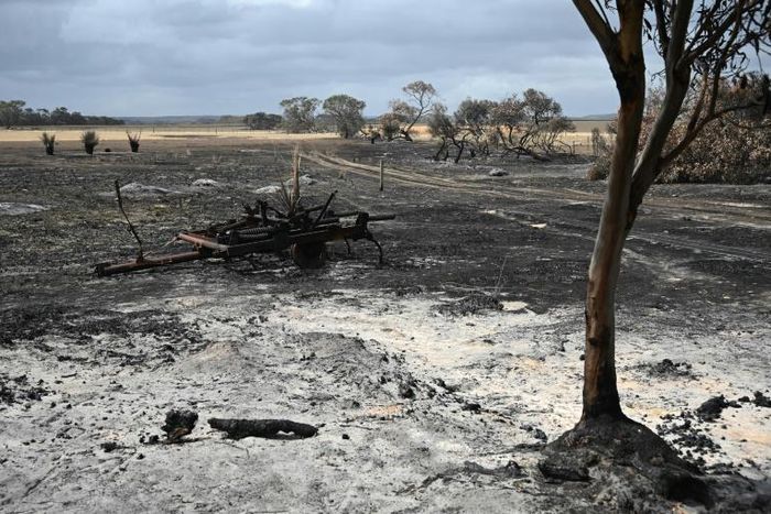 Australia is reeling from bushfires that since September have claimed 28 lives, including two on Kangaroo Island