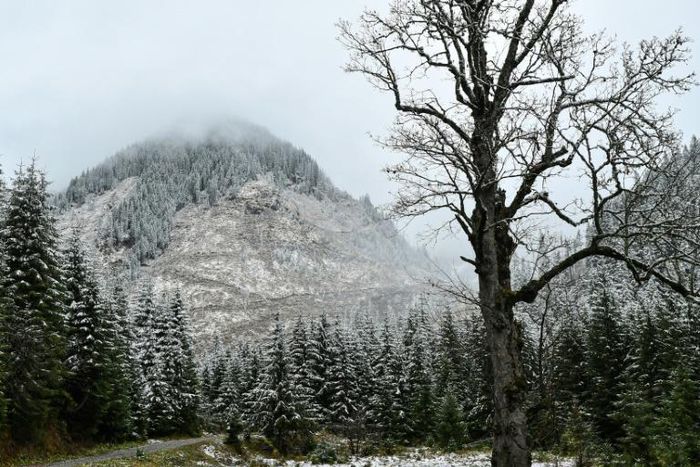 The European Commmission has been pressing Romania on this matter for several years