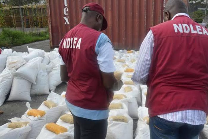 NDLEA charges 2 brothers with peddling hard drugs  [dailypost]