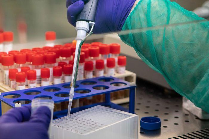 Where Did Novel Coronavirus Originate?