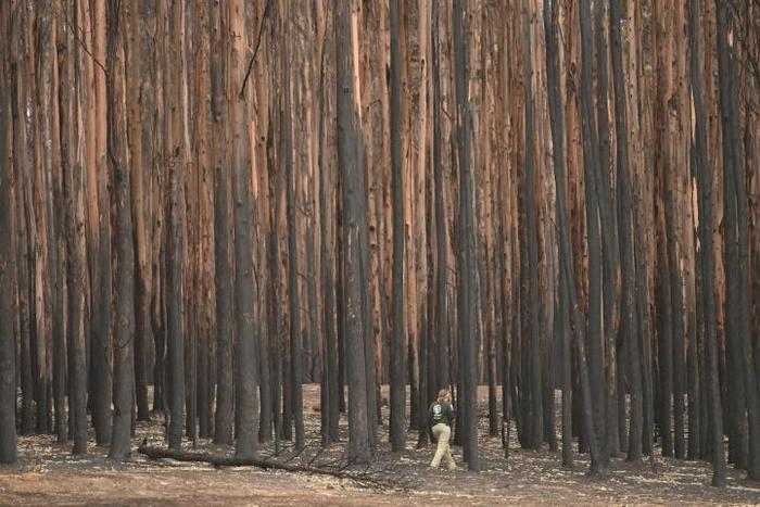 The fires have claimed 28 lives, scorched massive tracts of pristine forests and destroyed thousands of homes