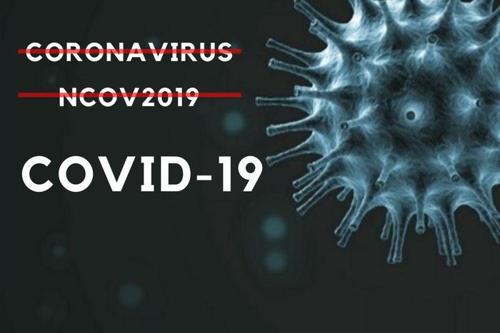 COVID-19: 11 common terms and phrases you should know