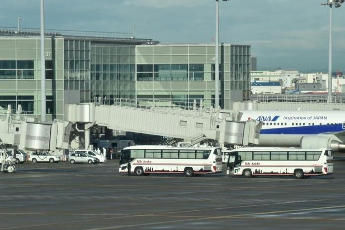 A charter flight carrying 206 Japanese nationals has arrived in Tokyo from the city of Wuhan, the centre of a deadly virus outbreak