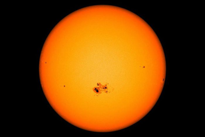 Sunspots and Stranded Whales: A Bizarre Correlation