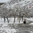 A woman walks down a path in Quetta, Pakistan, after heavy snow