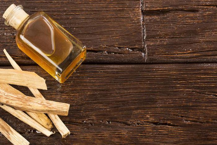 Palo Santo—All Your Questions Answered