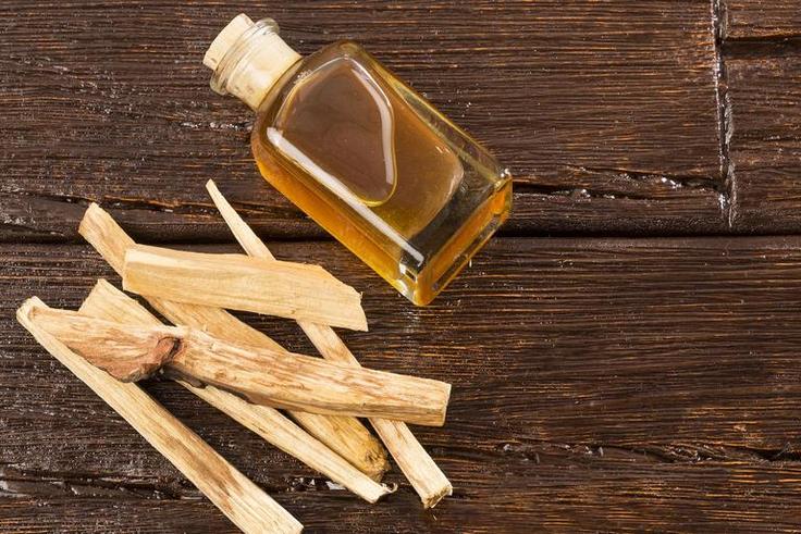Palo Santo—All Your Questions Answered