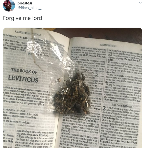 Angry feminist tears out part of the Bible asking women to be submissive, uses it to smoke wee