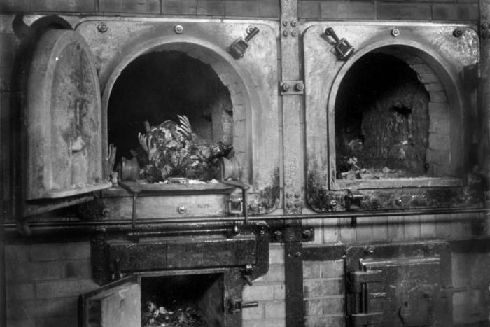 Schwab is driven by the need to find his Jewish German mother, who was deported in 1943