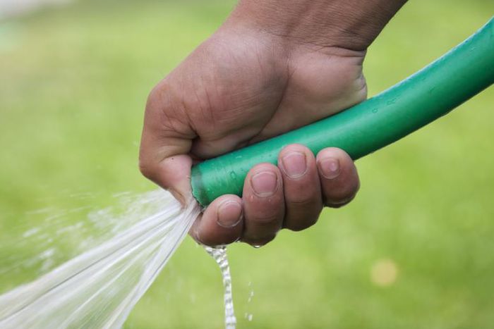 How Money Shots in Porn Became So Popular