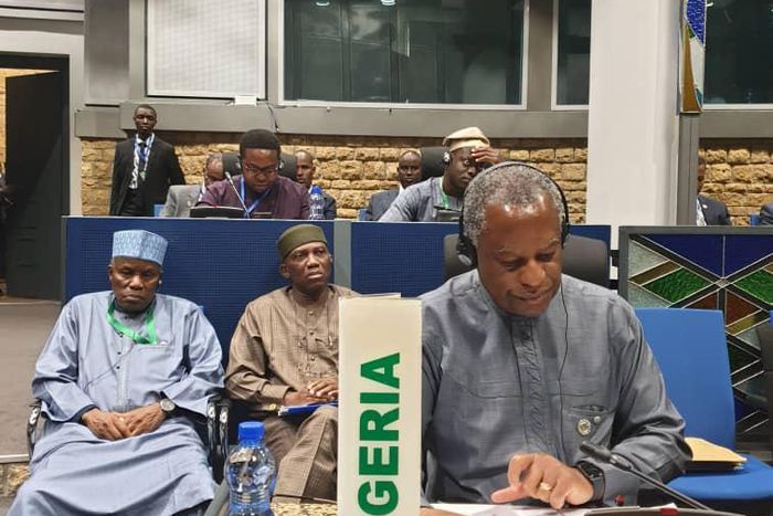 President Buhari expresses concern over Libya (NAN)