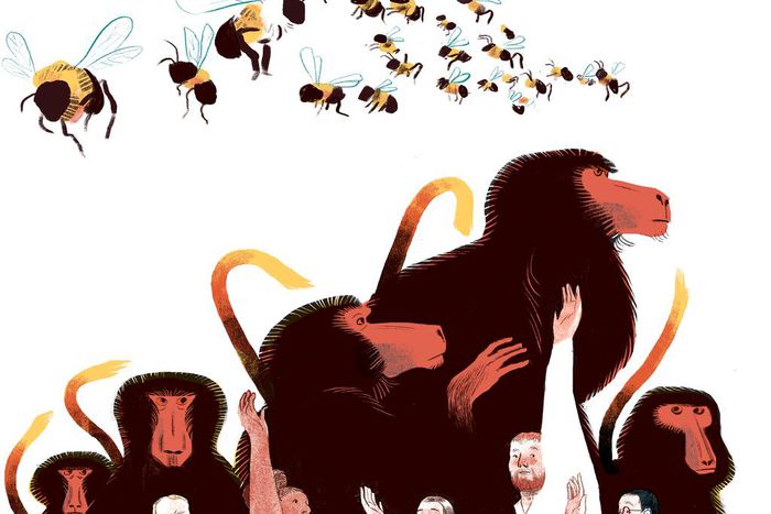 Sneezing Dogs, Dancing Bees: How Animals Vote