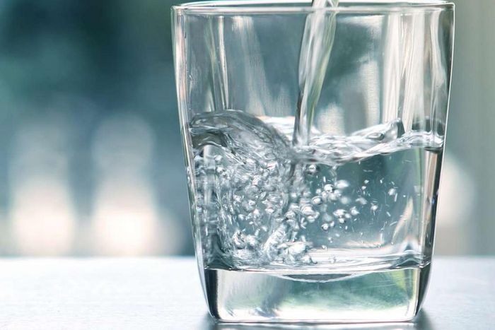 The importance of water in the body and how it keeps you alive