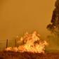 The Australian bushfires raged for months, devastating tens of thousands of hectares