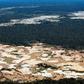 About 20 percent of the Amazon basin rainforest has been wiped out since 1970