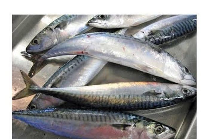 Water pollution is causing scarcity of Titus fish, dealers cry out