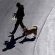 Italy has been in lockdown since March 12
