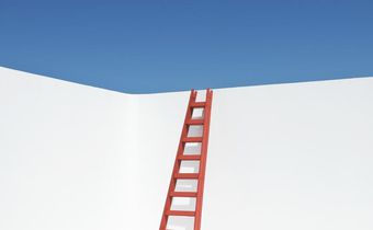 Can You Solve Oxford's 'Ladder Problem'?