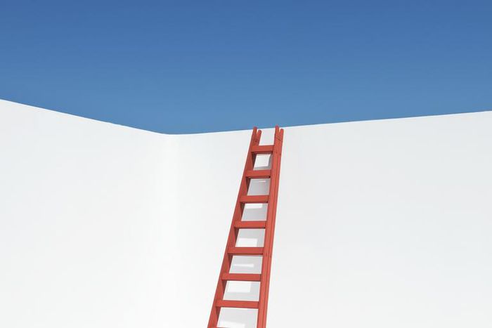 Can You Solve Oxford's 'Ladder Problem'?