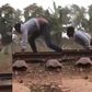 Daring man surprisingly survives after lying on a railway for a speeding train to pass over him (video)