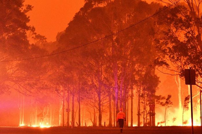 Smoke from bushfires has blanketed large parts of Australia