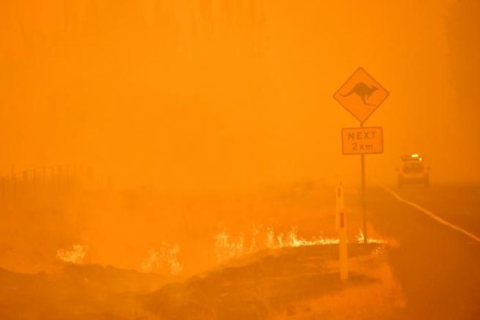 Australia has seen dozens of inquests into the causes of bushfires and steps that could be taken to mitigate them, with mixed results